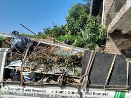 Best Yard Waste Removal  in Snyder, TX